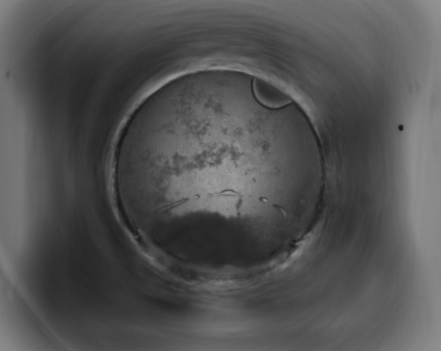 X0000100501525200806131426