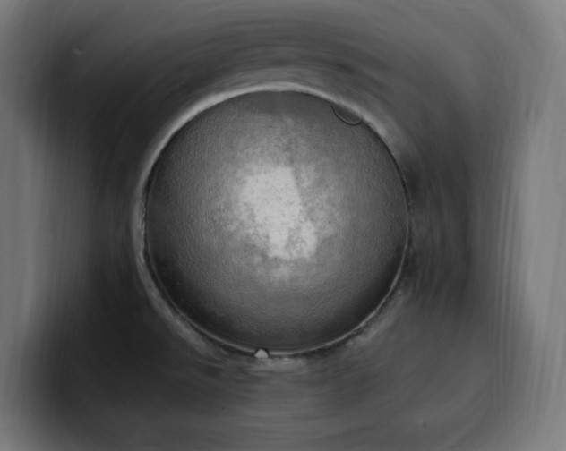 X0000100501526200806131426