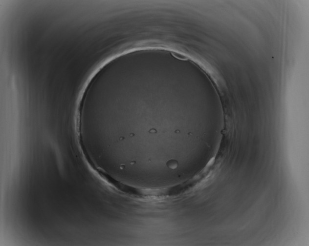 X0000100501527200806131426