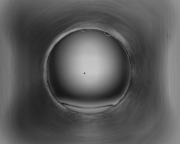 X0000100501528200806131426