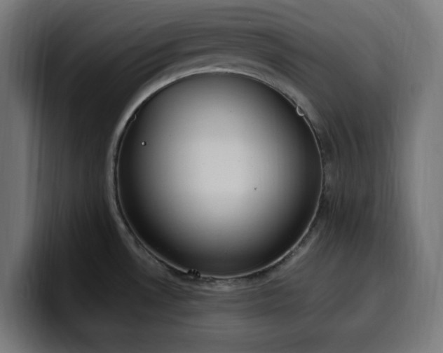 X0000100501530200806131426