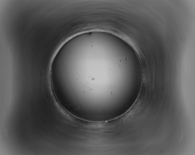 X0000100501532200806131426