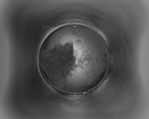 X0000100501533200806131426