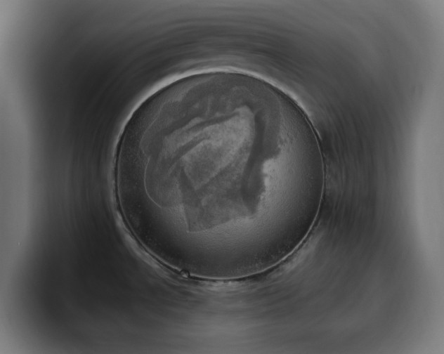 X0000100501534200806131426