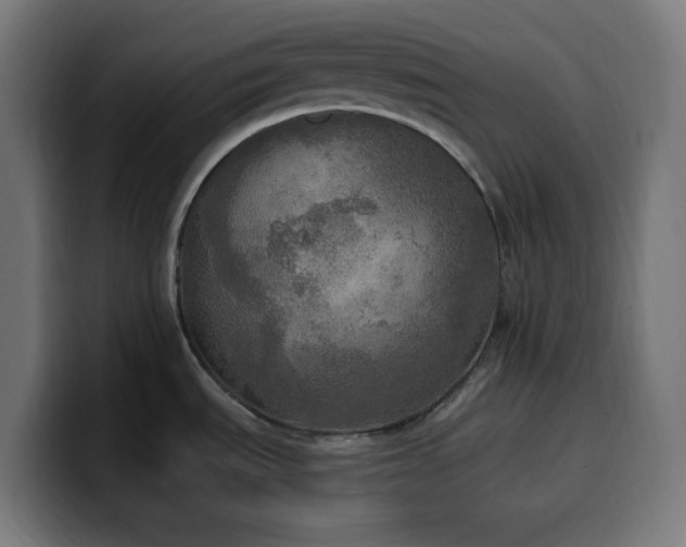 X0000100501535200806131426