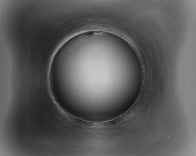 X0000100501536200806131426