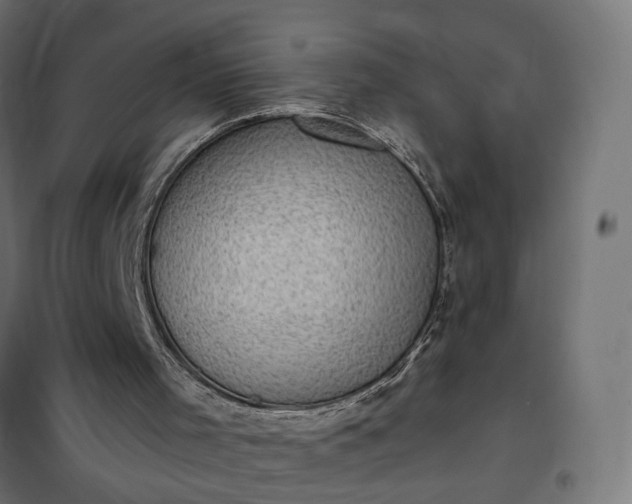 X0000100500001200806201726