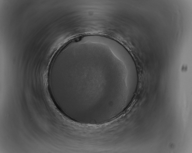 X0000100500002200806201726