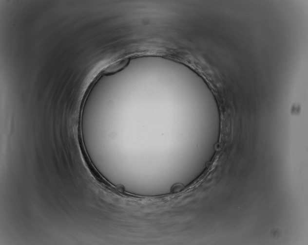 X0000100500003200806201726