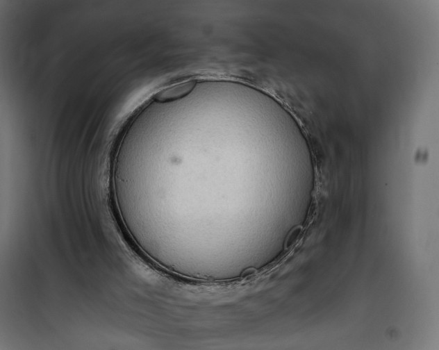 X0000100500005200806201726