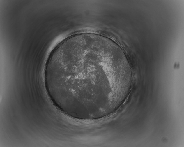 X0000100500006200806201726