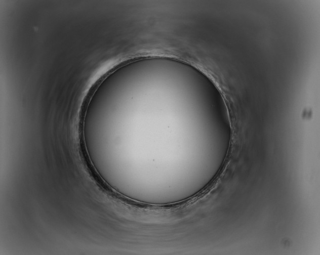 X0000100500008200806201726