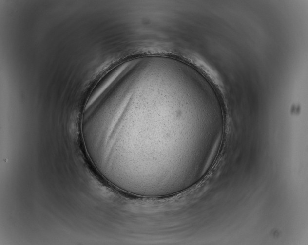 X0000100500009200806201726