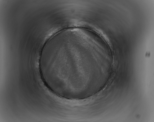 X0000100500010200806201726