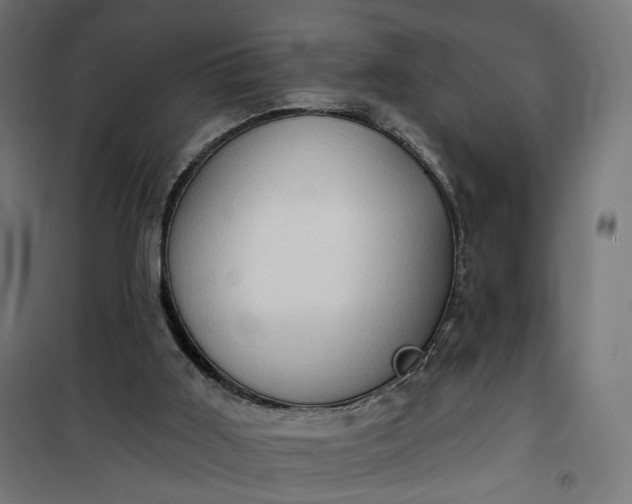 X0000100500011200806201726