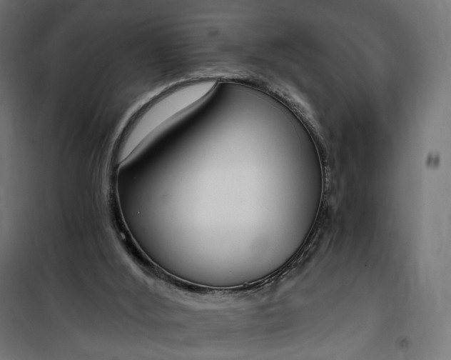 X0000100500012200806201725