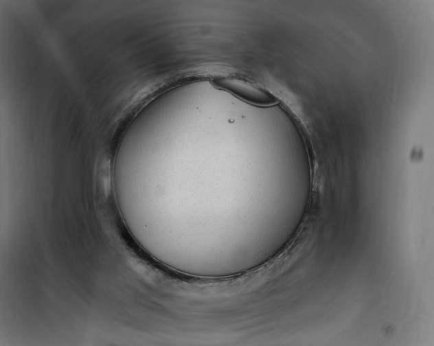 X0000100500013200806201725