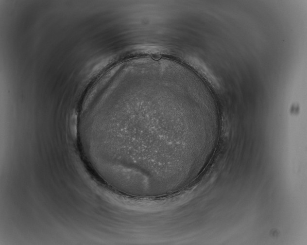 X0000100500014200806201725