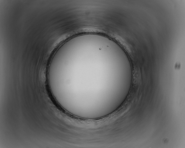 X0000100500015200806201725