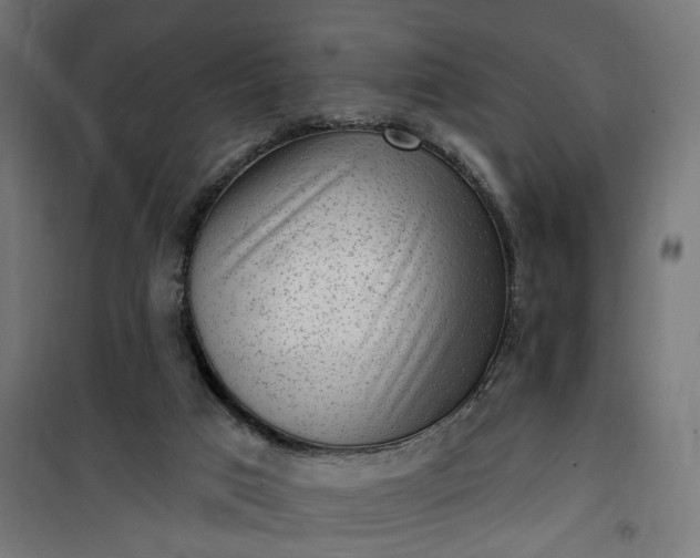 X0000100500017200806201725