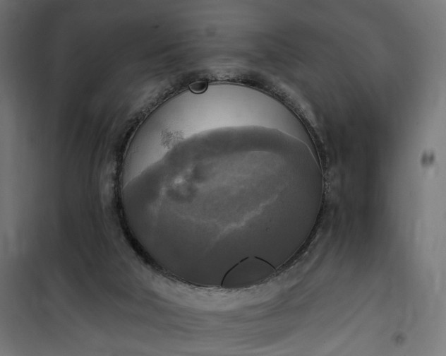 X0000100500018200806201725