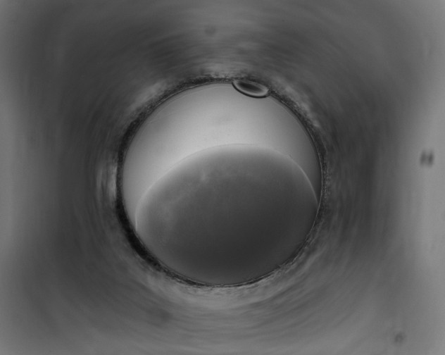 X0000100500019200806201725