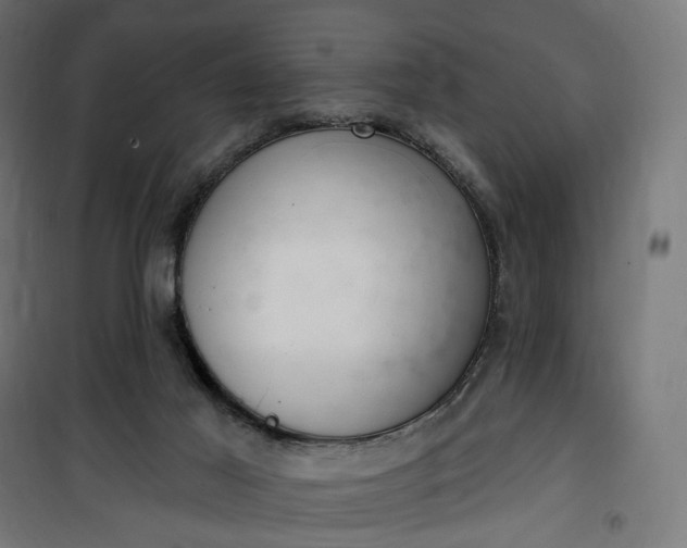 X0000100500021200806201725