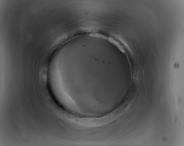 X0000100500023200806201725