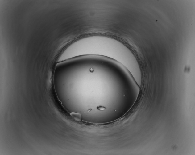 X0000100500024200806201725