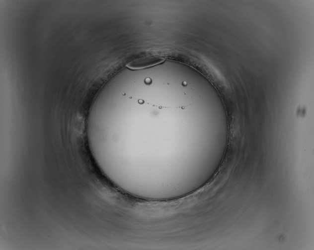 X0000100500025200806201725