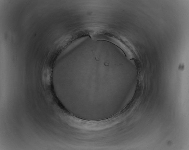 X0000100500026200806201725