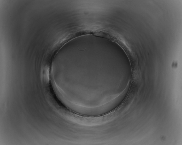 X0000100500027200806201725