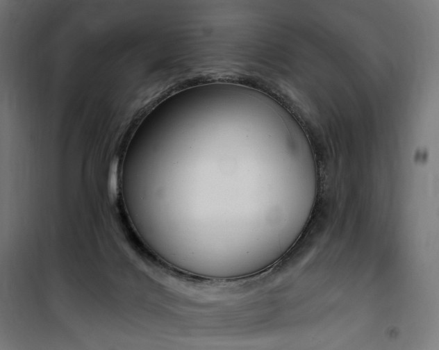 X0000100500028200806201725