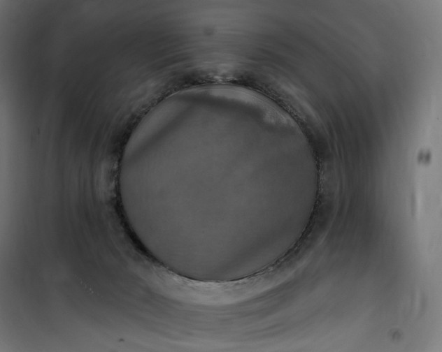 X0000100500030200806201725