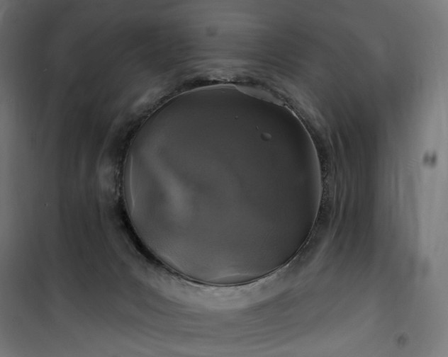 X0000100500031200806201725