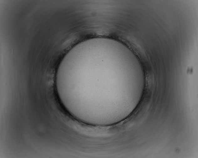 X0000100500032200806201725