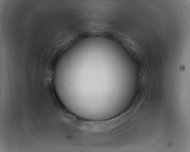 X0000100500033200806201725