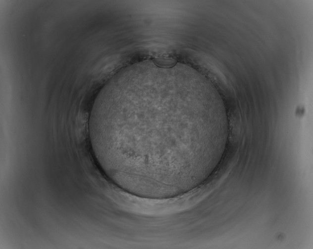 X0000100500034200806201725