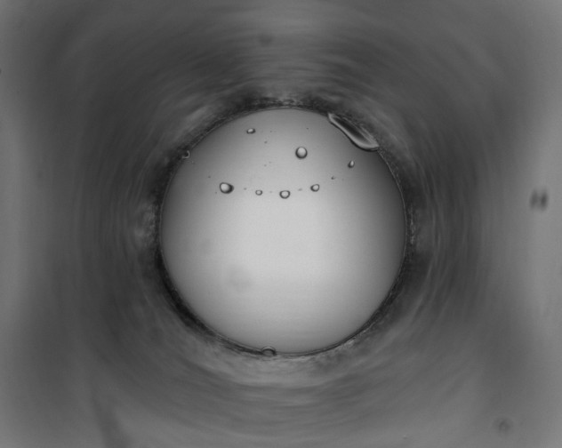 X0000100500036200806201725