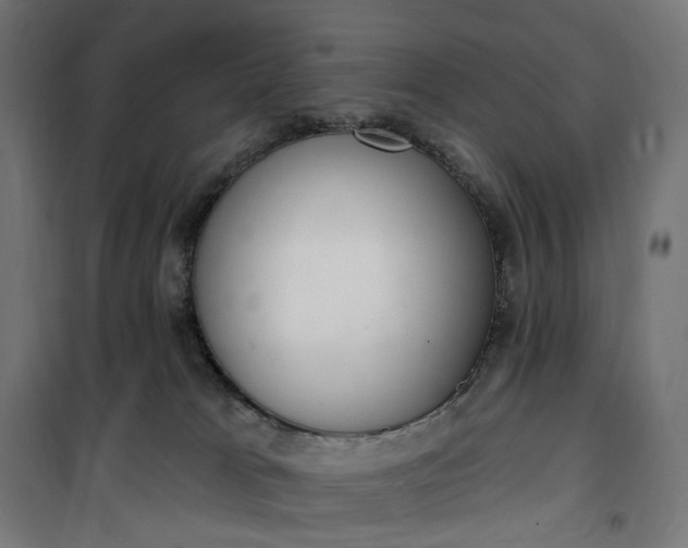 X0000100500037200806201725