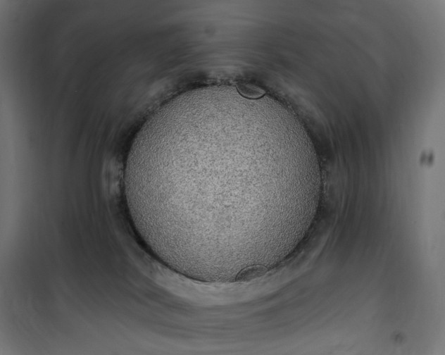 X0000100500038200806201725