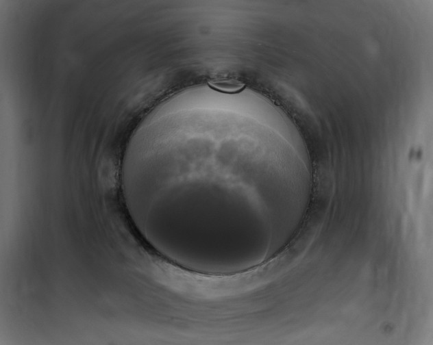 X0000100500039200806201725