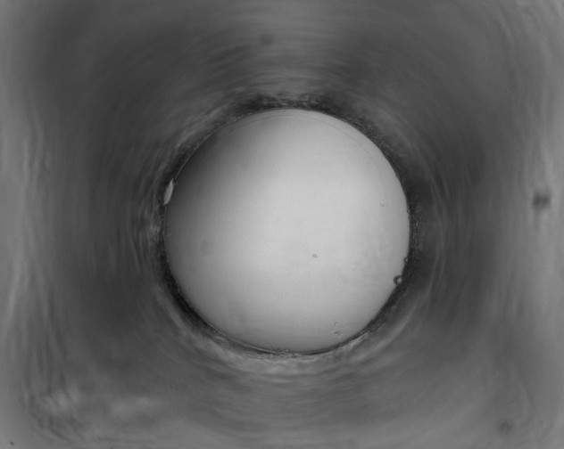 X0000100500040200806201725