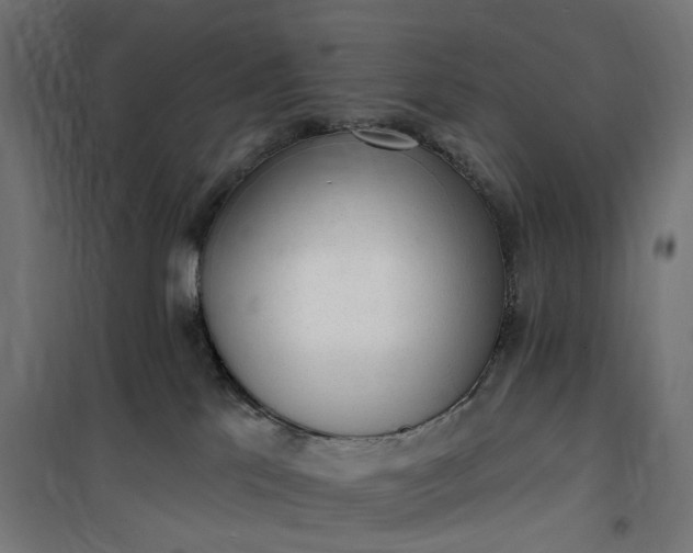 X0000100500041200806201725