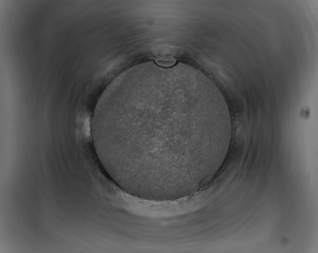 X0000100500042200806201725