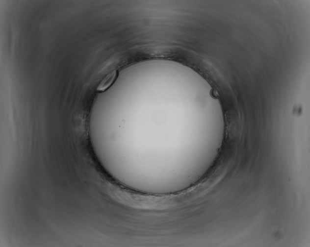 X0000100500044200806201725