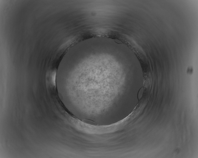 X0000100500047200806201725