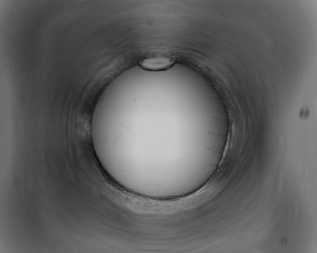 X0000100500048200806201725