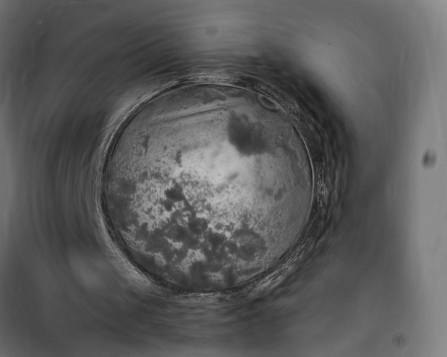 X0000100500049200806201724