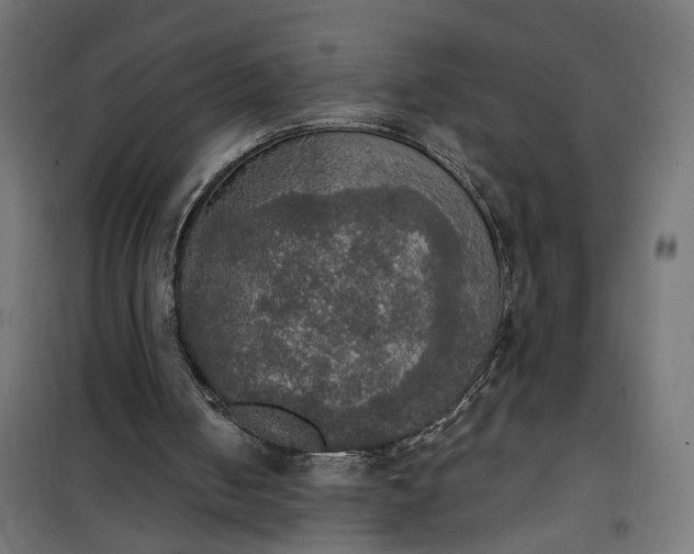 X0000100500050200806201724